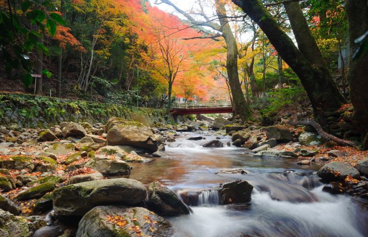 岡崎市