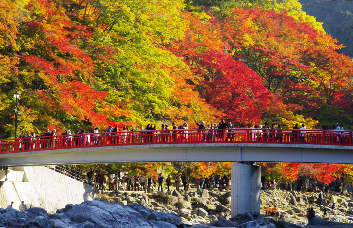 豊田市