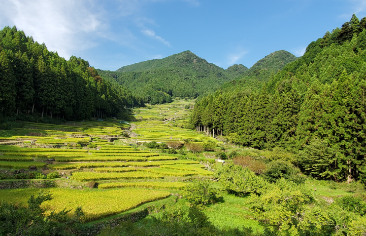 新城市