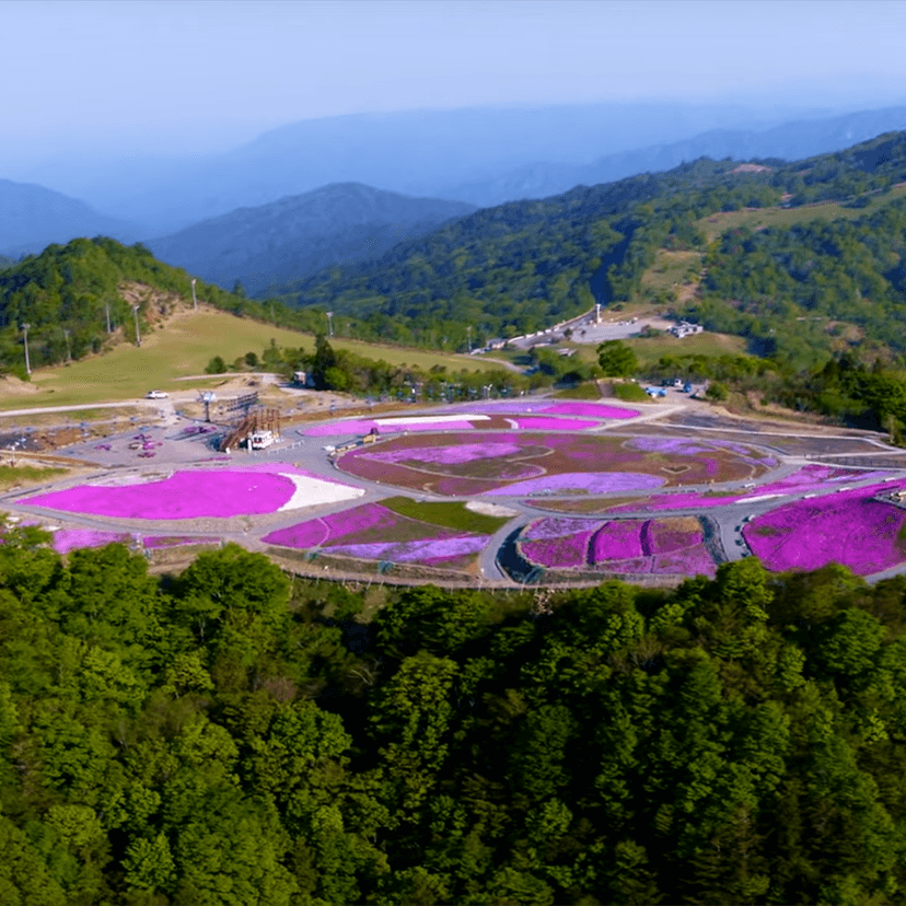 あいちの山里で過ごす緩やかな時間